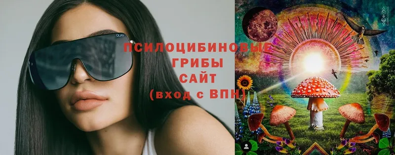 Галлюциногенные грибы Cubensis Никольск